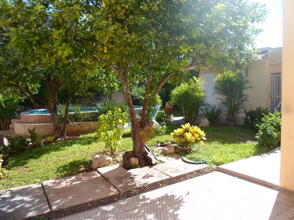 Hotel La Casa Del Turix Mérida Exterior foto